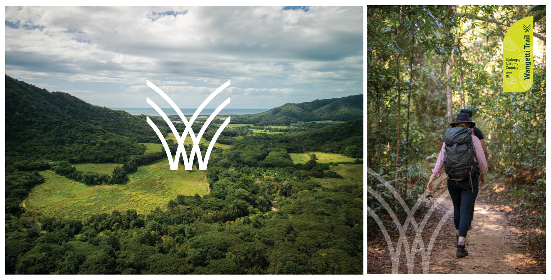 Wangetti Trail branding